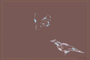 Francis and the crow