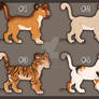 Lion Cubs - FIX OPEN 5