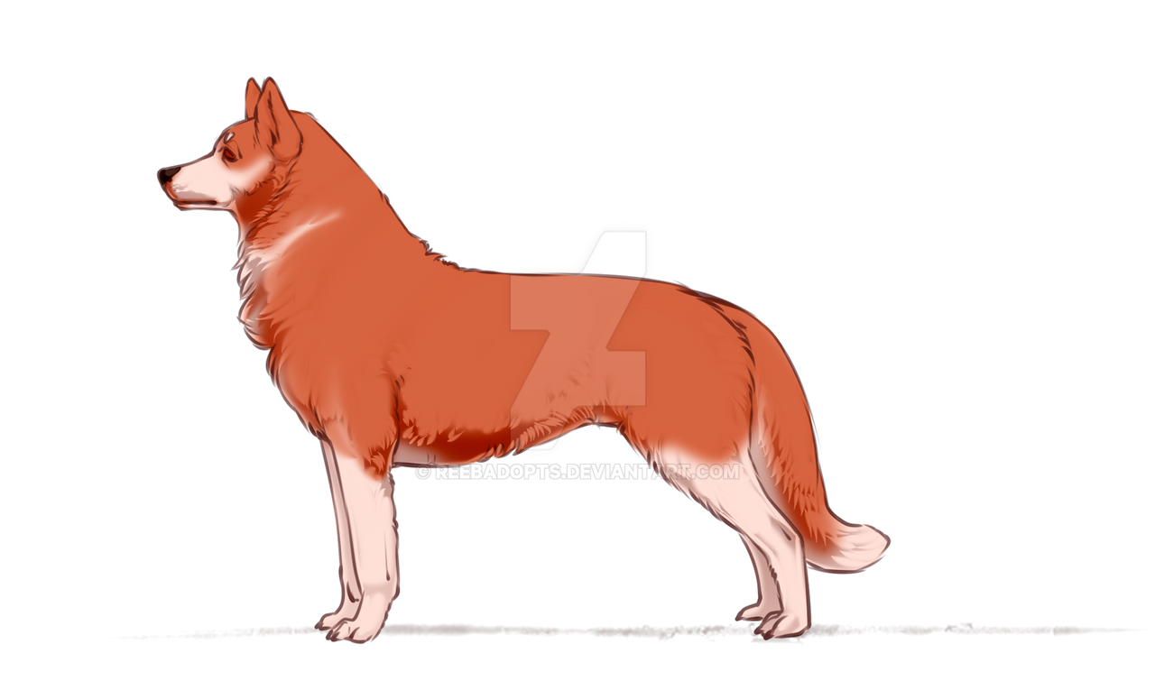 Husky Deviantart Husky #3 - OPEN by ReebAdopts on DeviantArt