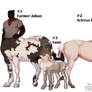 ADOPT - Centaur Family #3 - CLOSED