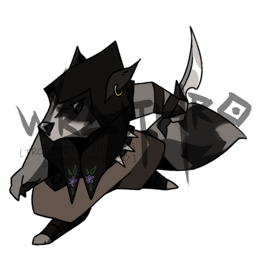 Tuttle Raccoon Tutu, the Rogue Raccoon by Wraithiro on DeviantArt