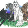 GreyScale Wolves