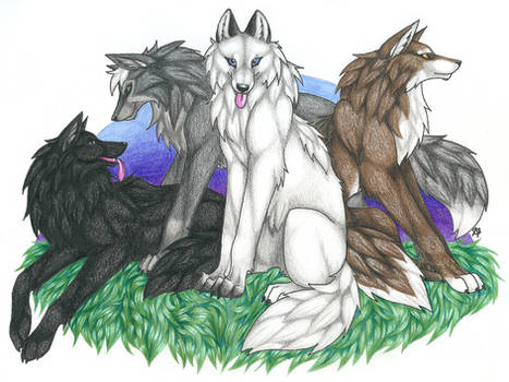 GreyScale Wolves