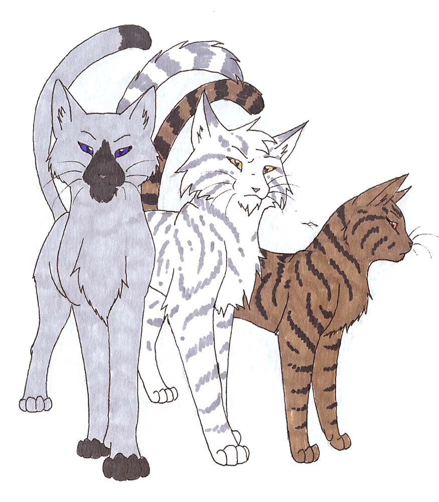 RiverClan's Finest