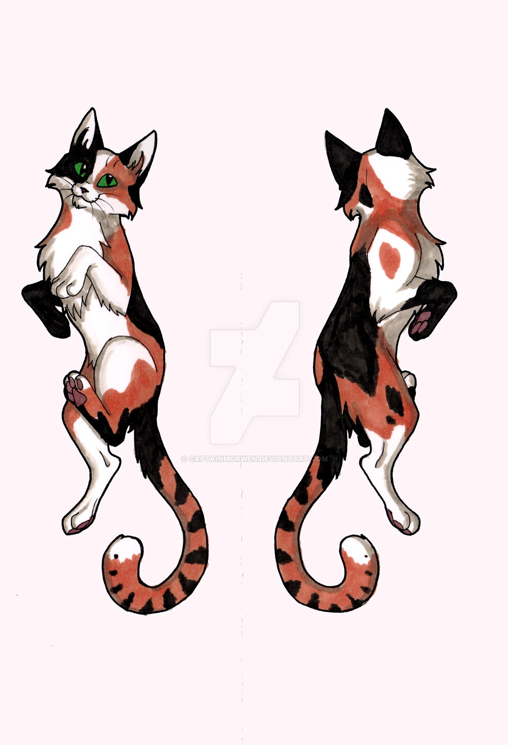 Double Sided Calico Badge