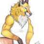 Golden Fox Anthro/Furry