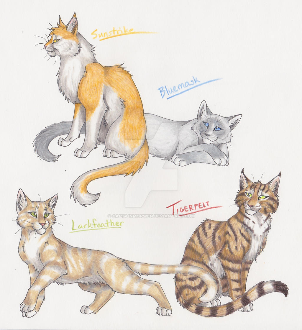 Sunstrike - Bluemask - Larkfeather - Tigerpelt