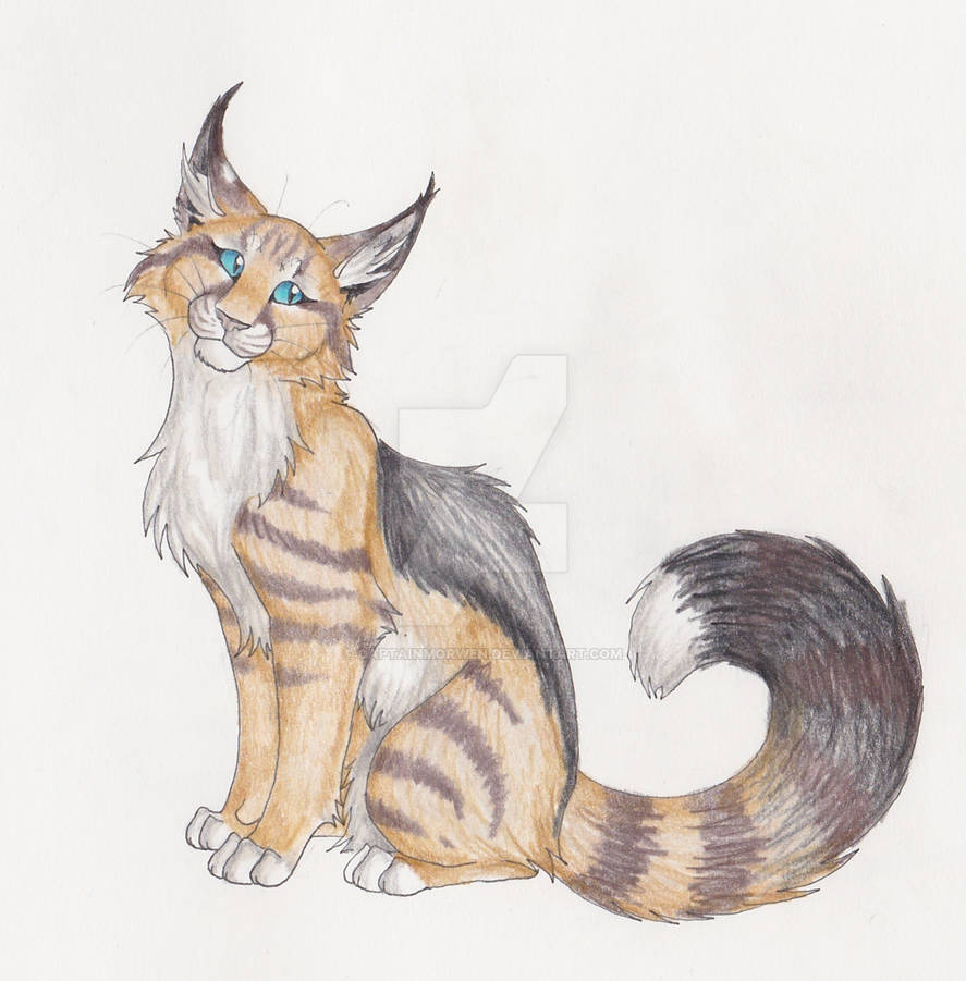 Jackal Cats телеграм