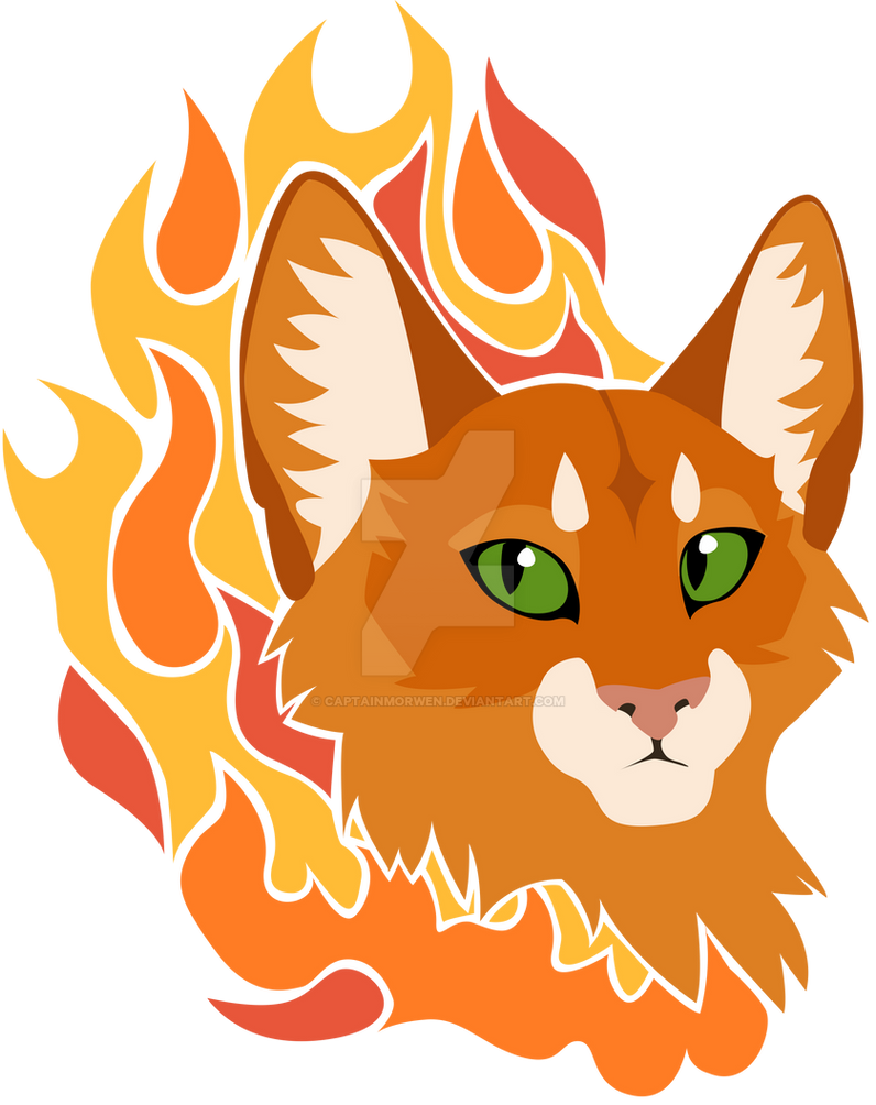 Spring Firestar Firestar Design by CaptainMorwen on DeviantArt