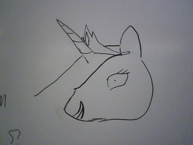 White Board Celestia