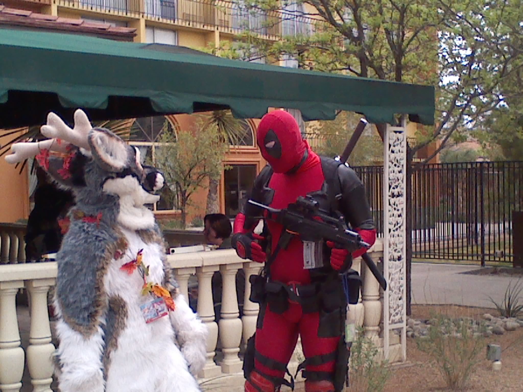 Deadpool and the Deer