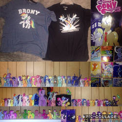 Pony Collection 2017