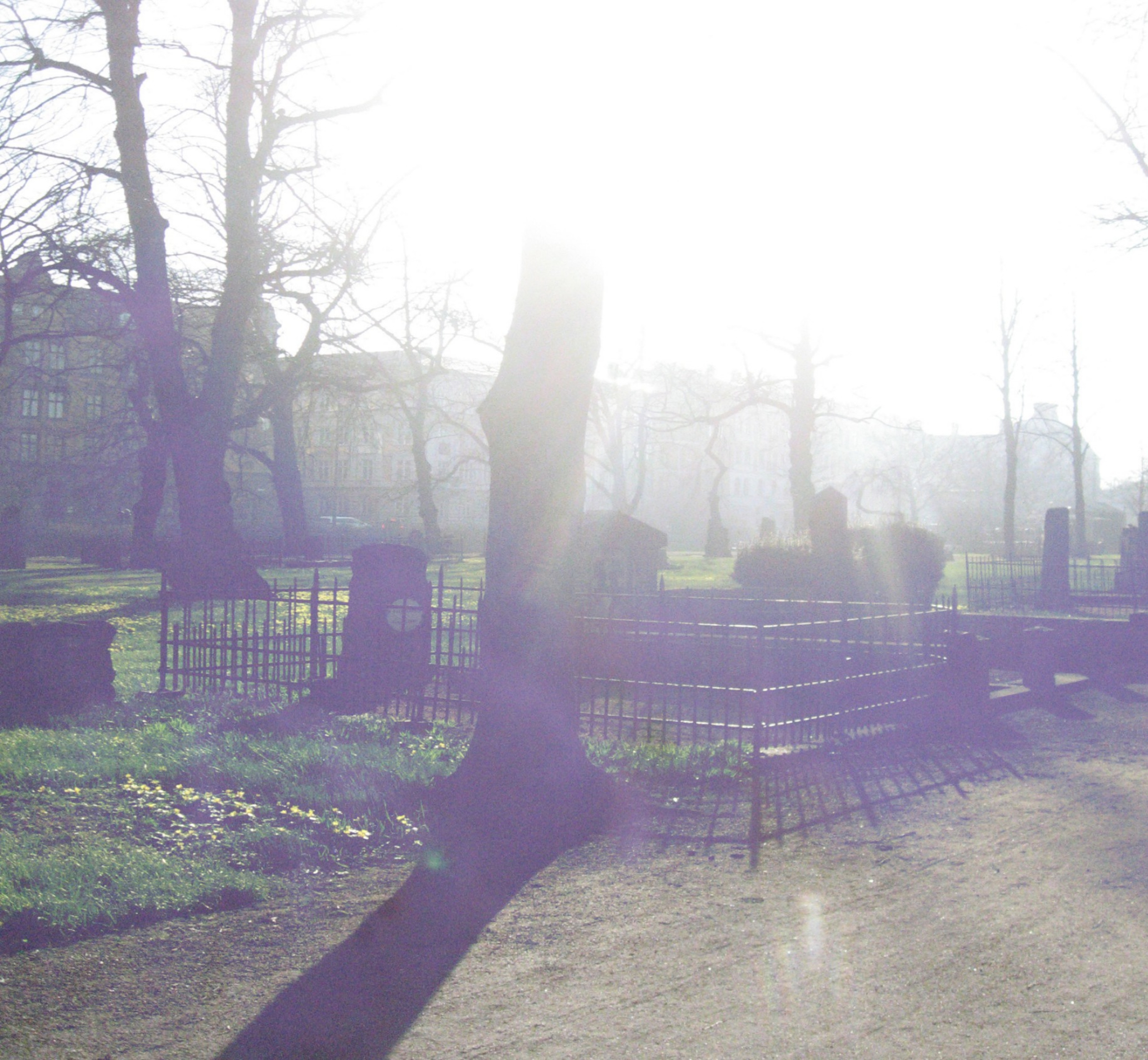 GraveYard and Bright Sunlight