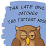 The Late Owl Catches The Fattest Mice!