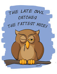 The Late Owl Catches The Fattest Mice!