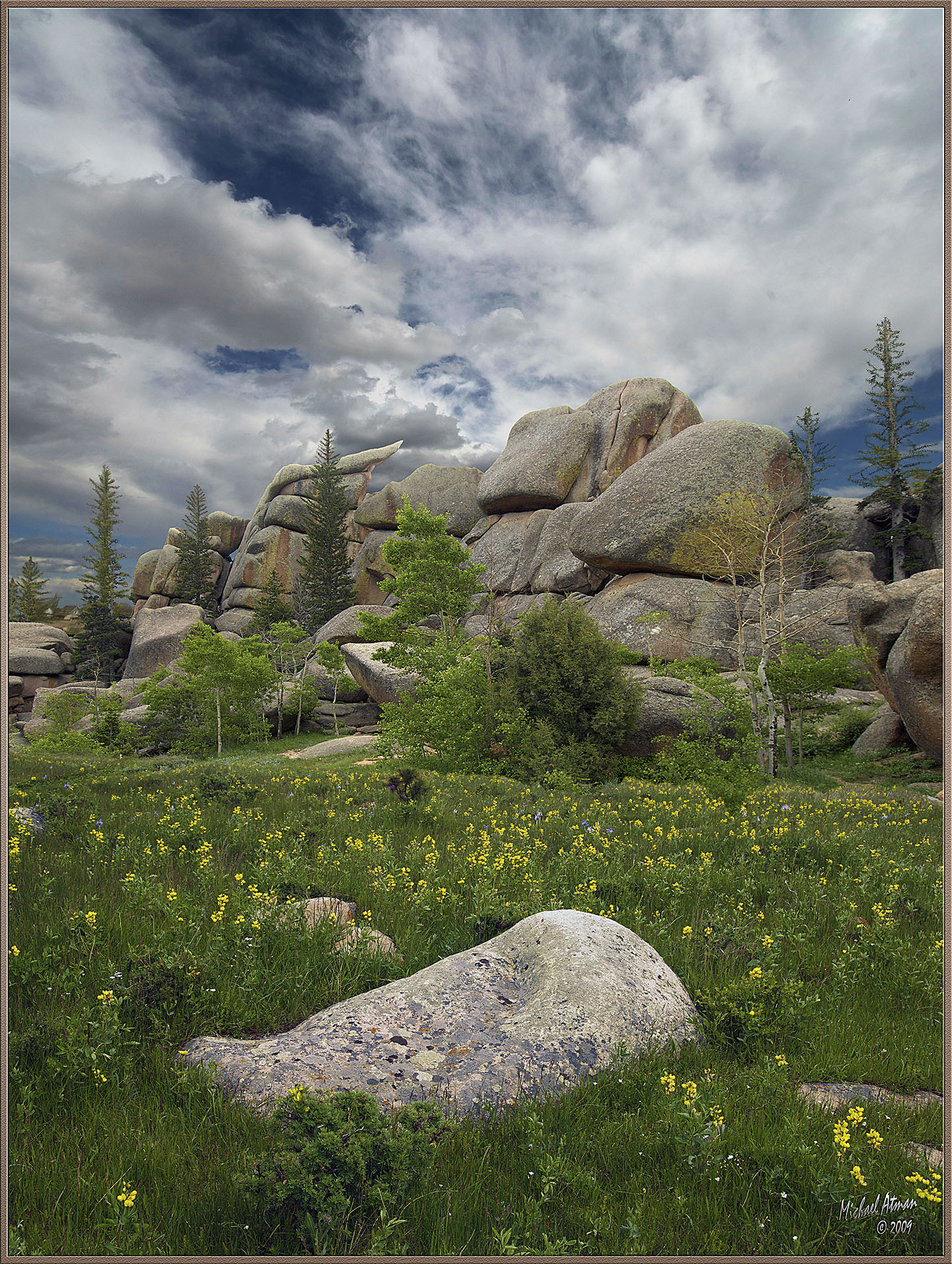 WY Vedauwoo Flowers 2