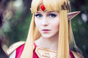 The Princess of Hyrule