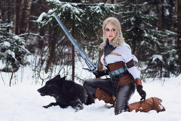 Ciri and Black Wolf