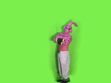 DBZ Majin Buu costume