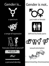 Gender is, Gender is not