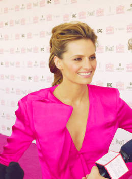 Stana Katic