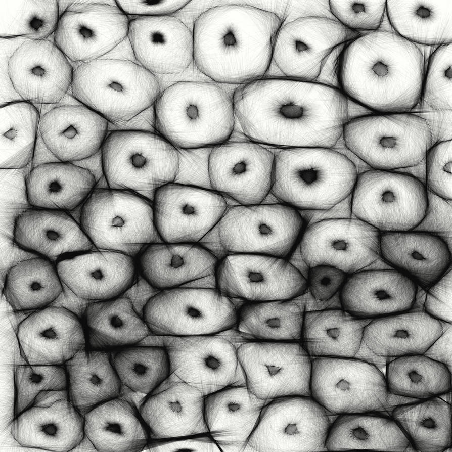 Lucky Rocks by VeggieVampire360 on DeviantArt