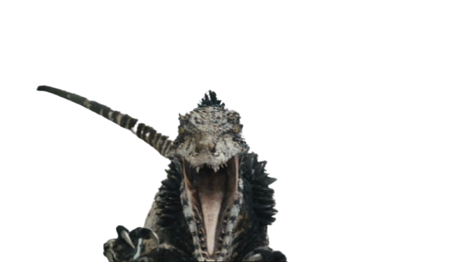 Primeval Raptor render by ThornGhidoboi on DeviantArt