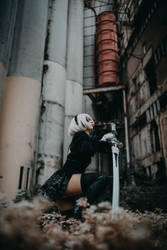 2B