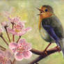Bird Song For Spring