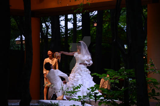 A Japanese Wedding