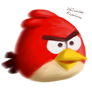 Red angry bird