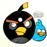 Black Bird and Blue Bird
