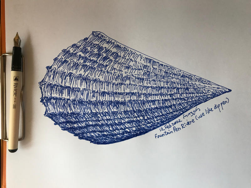 Pen shell by RiverJvari on DeviantArt