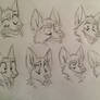 Cartoony fox expressions