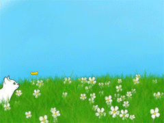 Cat chasing butterfly hot sale