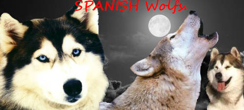 Wolf Spanish by Yoshic