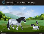 [HARPG] Bleue Fleur des Champs