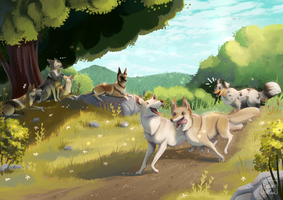 [Commission] The Pack