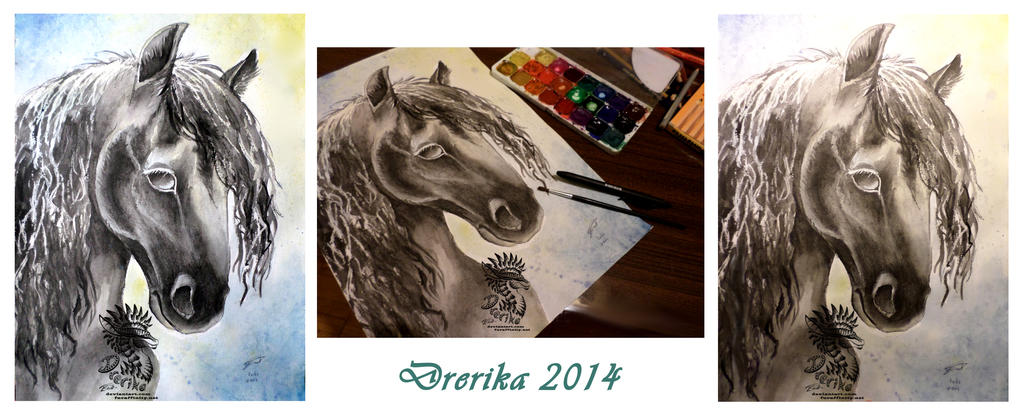 Horse portrait AUCTION by Drerika Horse portrait AUCTION by Drerika