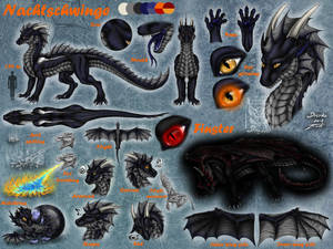 CM: Nachtschwinge ref sheet (updated) by Drerika CM: Nachtschwinge ref sheet (updated) by Drerika