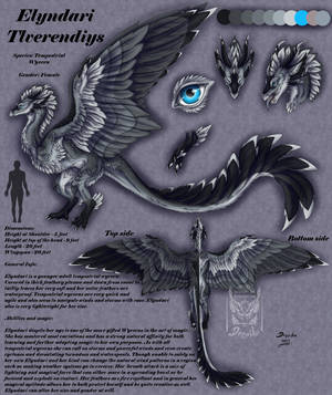 CM: Elyndari ref sheet by Drerika CM: Elyndari ref sheet by Drerika