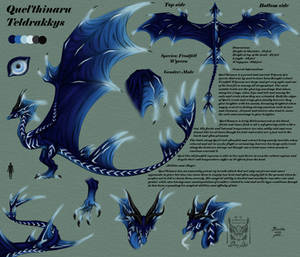 CM: Quel ref sheet by Drerika CM: Quel ref sheet by Drerika