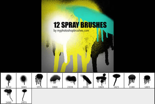 12 Spray Brushes