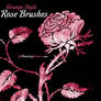 Roses Brushes