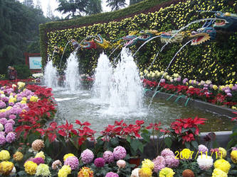 2007Chrysanthemum Show004