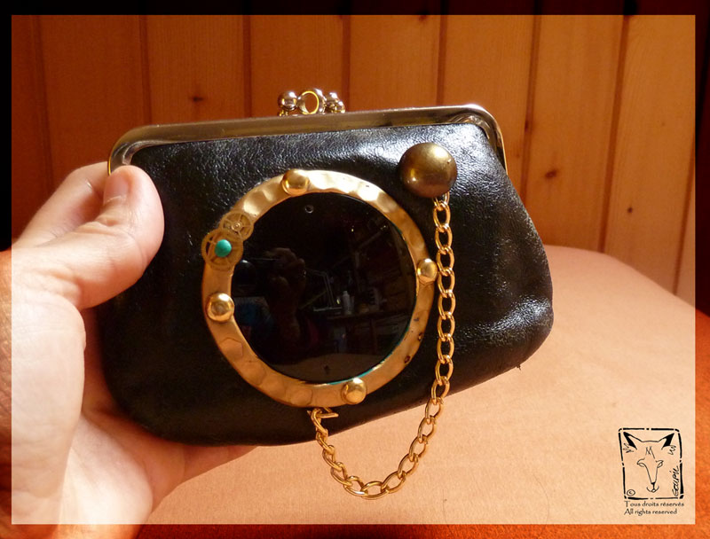 Steampunk camera case