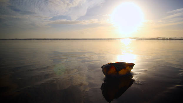 Canon Beach, OR