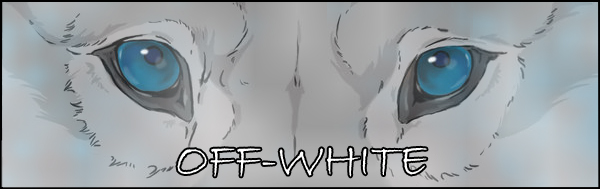 Off White banner for akreon