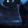 .:Gazing at the endless trails of stars:.