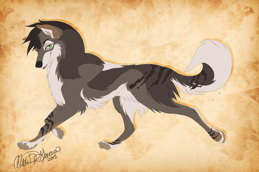 NEW WOLF CHARACTER AHHH! by Kairi292 on DeviantArt